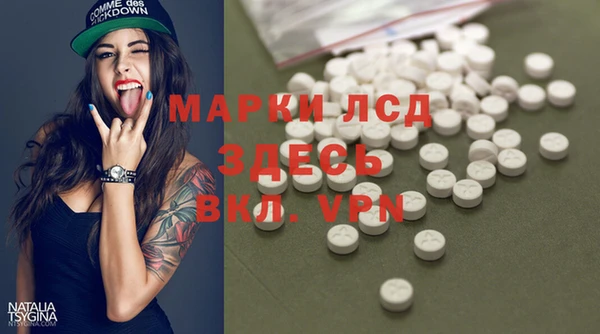 прущие грибы Белокуриха