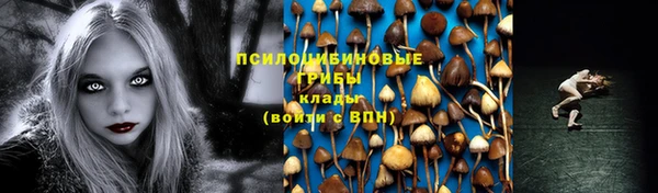 стафф Белоозёрский
