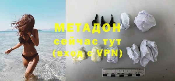 прущие грибы Белокуриха