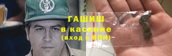 прущие грибы Белокуриха