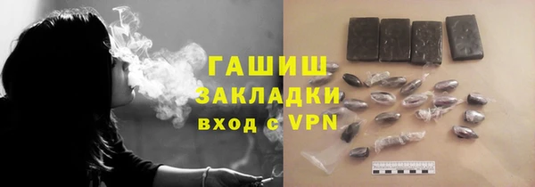 прущие грибы Белокуриха