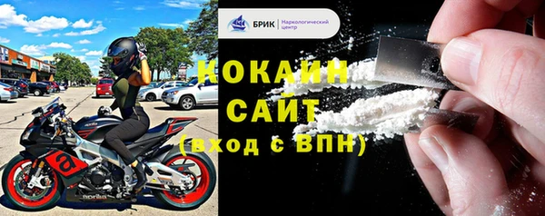 прущие грибы Белокуриха