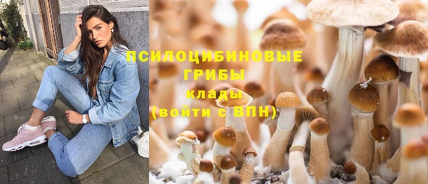 Альфа ПВП Беломорск