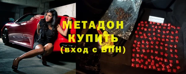 прущие грибы Белокуриха